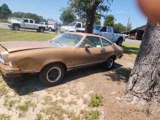 Image for 1974 Ford Mustang MACH 1 ID: 7638989