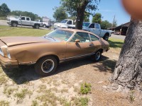 Image for 1974 Ford Mustang MACH 1 ID: 7638989
