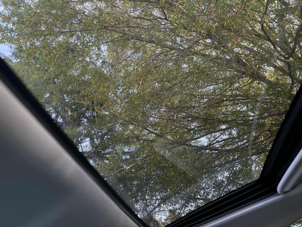 2013 Lexus IS Image 14