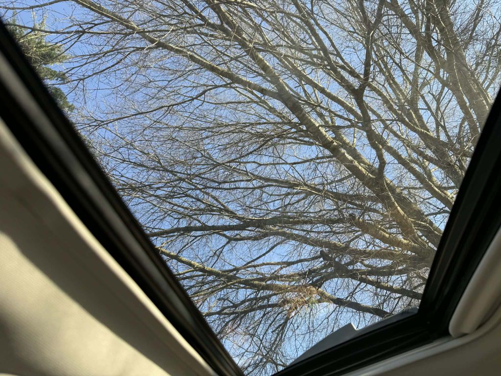 2016 Subaru Outback Image 14