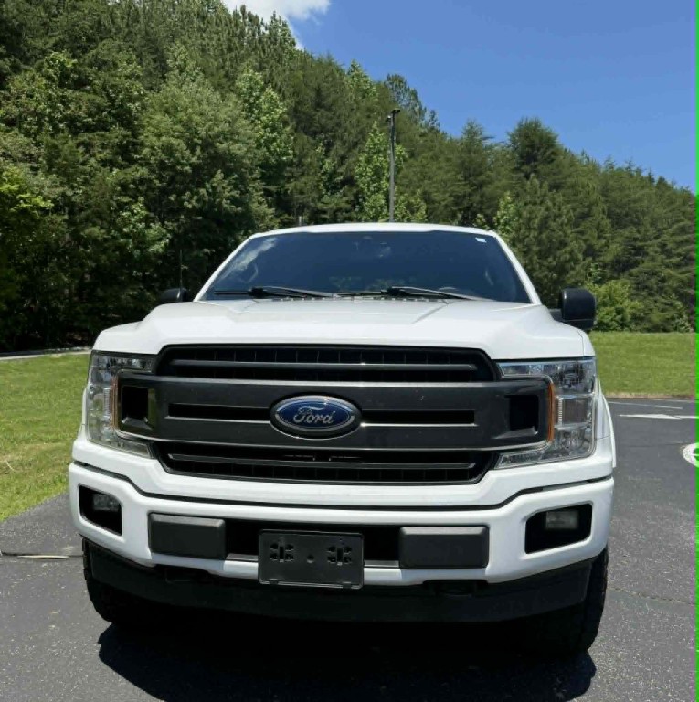 2019 Ford F-150 Image 3