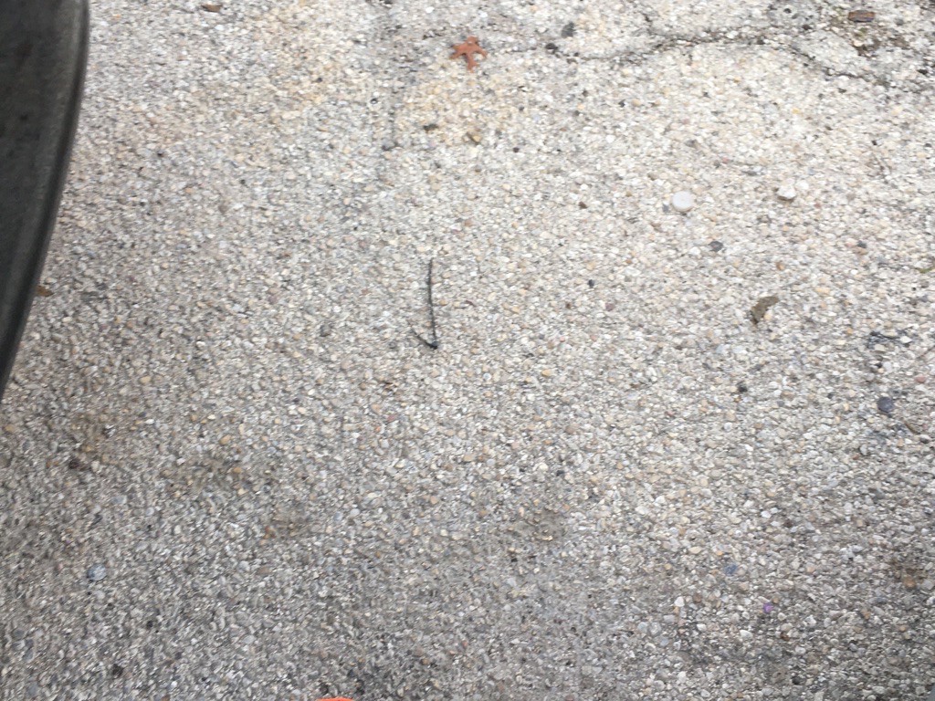 2010 Kia Forte Image 5