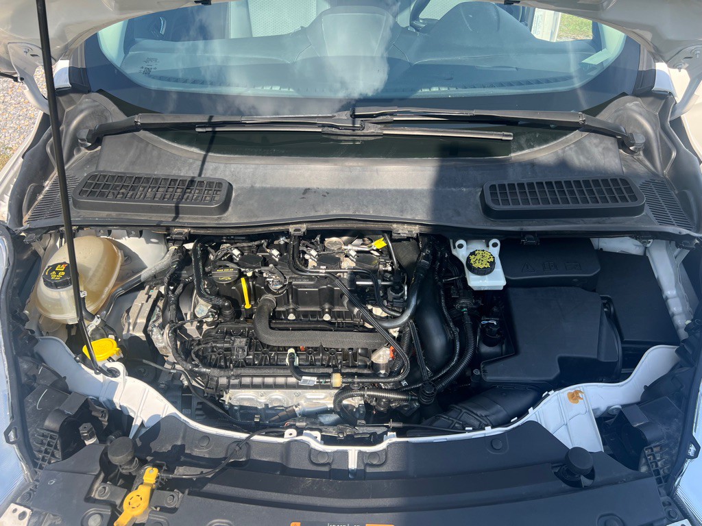 2019 Ford Escape Image 7