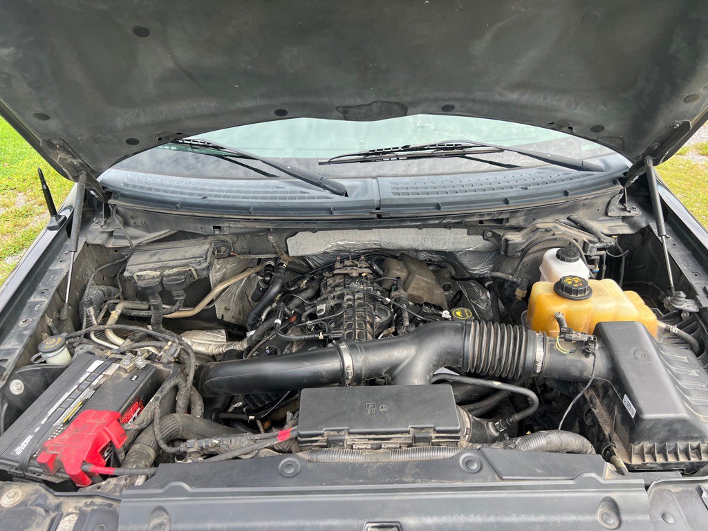 2014 Ford F-150 Image 7