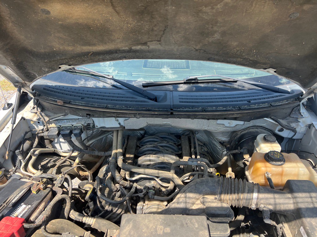 2013 Ford F-150 Image 7