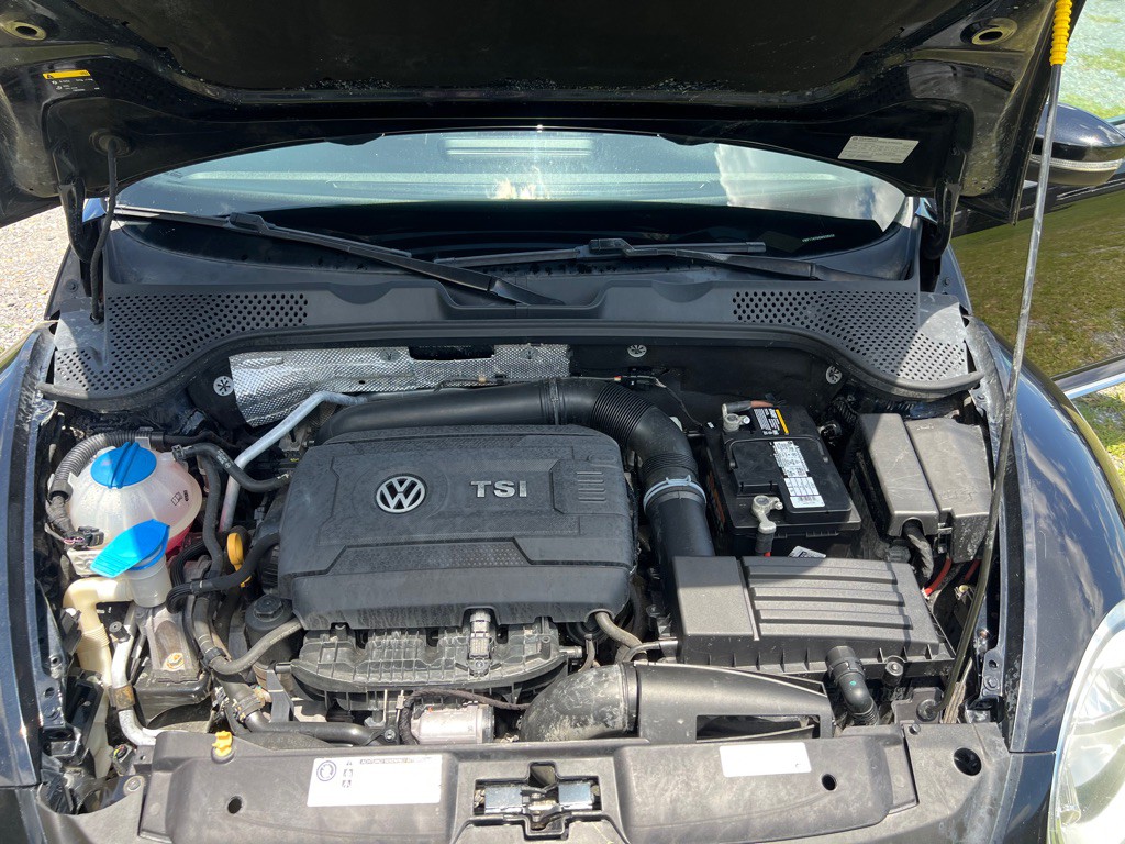 2016 Volkswagen Beetle Image 7