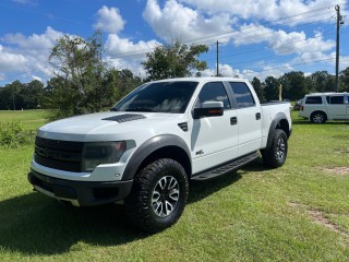 Image for 2014 Ford F-150 Svt Raptor ID: 7638828