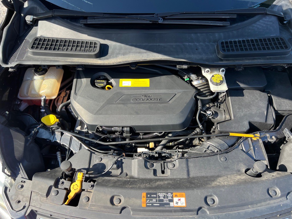 2016 Ford Escape Image 7