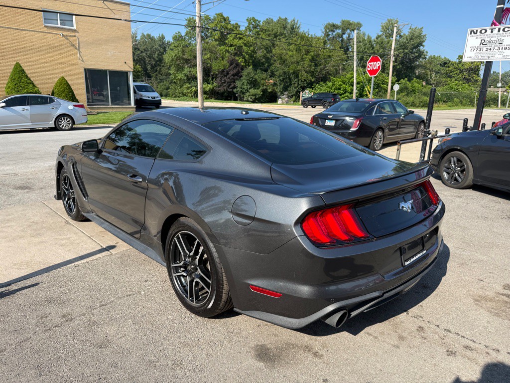 2019 Ford Mustang Image 4