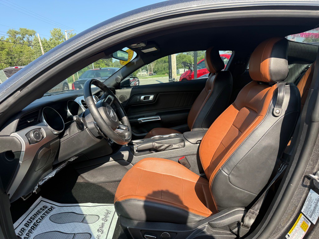 2019 Ford Mustang Image 6