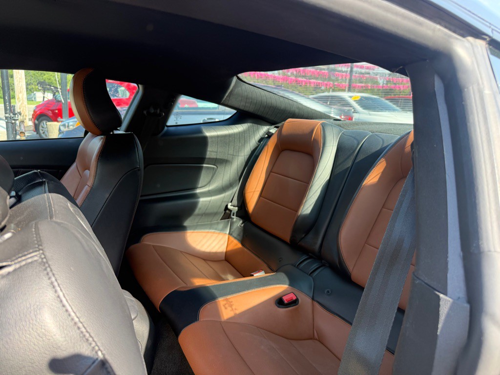 2019 Ford Mustang Image 7