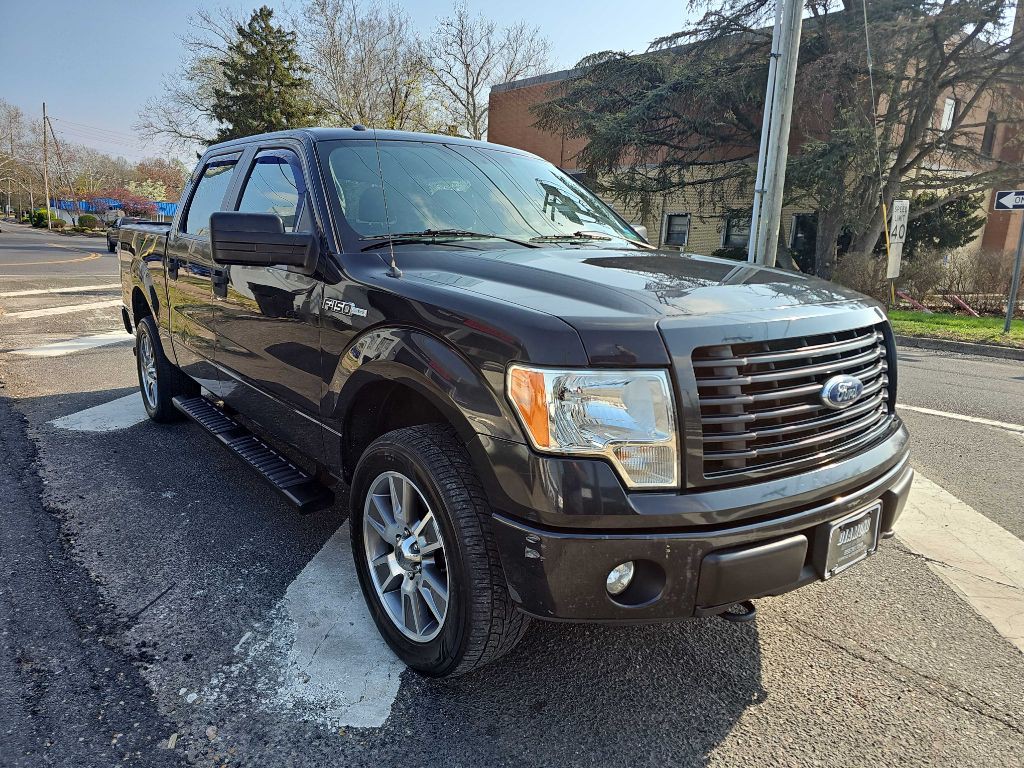 2014 Ford F-150 Image 3