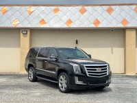 Image for 2018 Cadillac Escalade Esv Luxury ID: 6671010