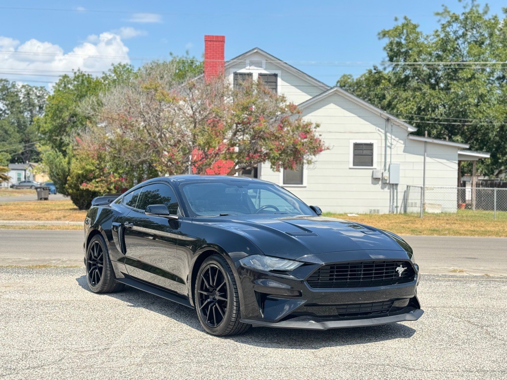 2019 Ford Mustang Image 2