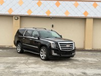 Image for 2020 Cadillac Escalade Esv Luxury ID: 7012699