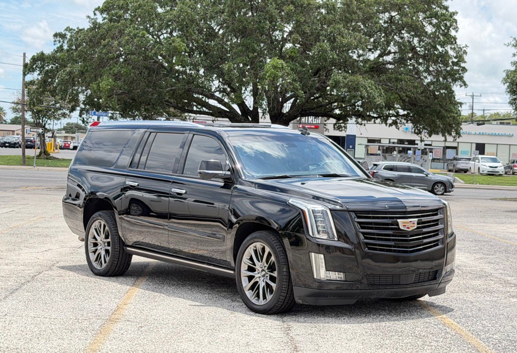 2019 Cadillac Escalade Image 4