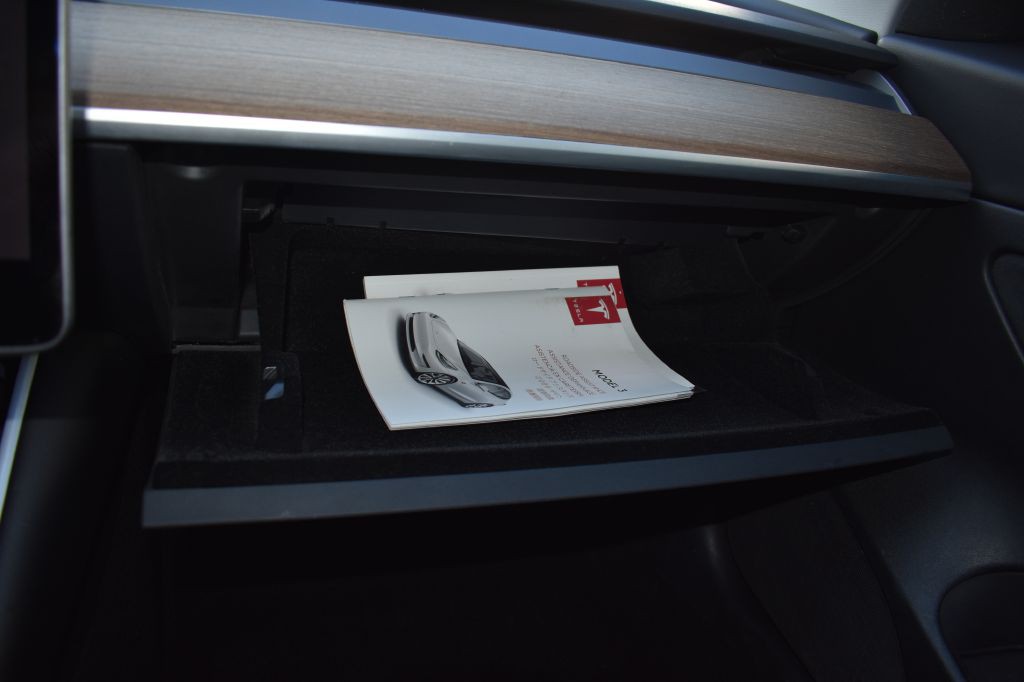 2020 Tesla Model 3 Image 21