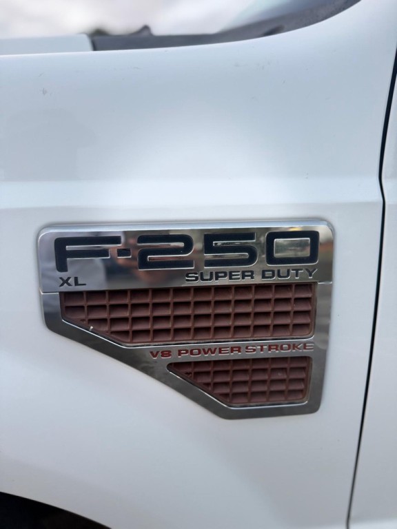 2010 Ford F-250 Image 9
