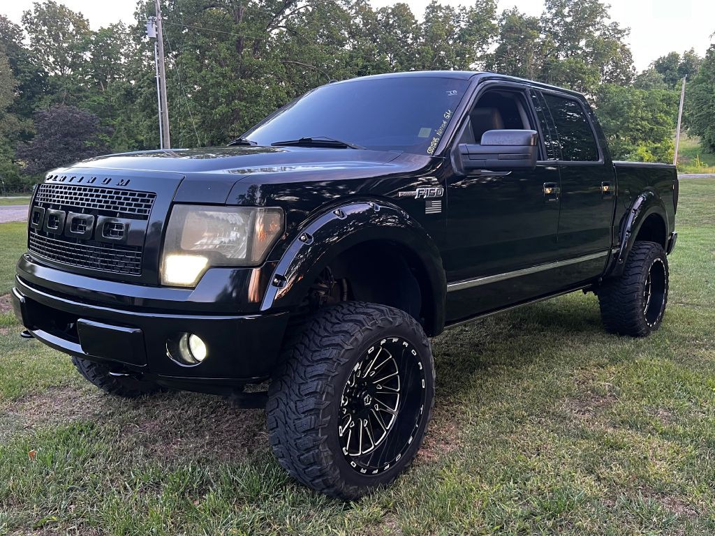 2010 Ford F-150 Image 1