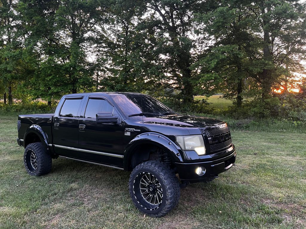 2010 Ford F-150 Image 2