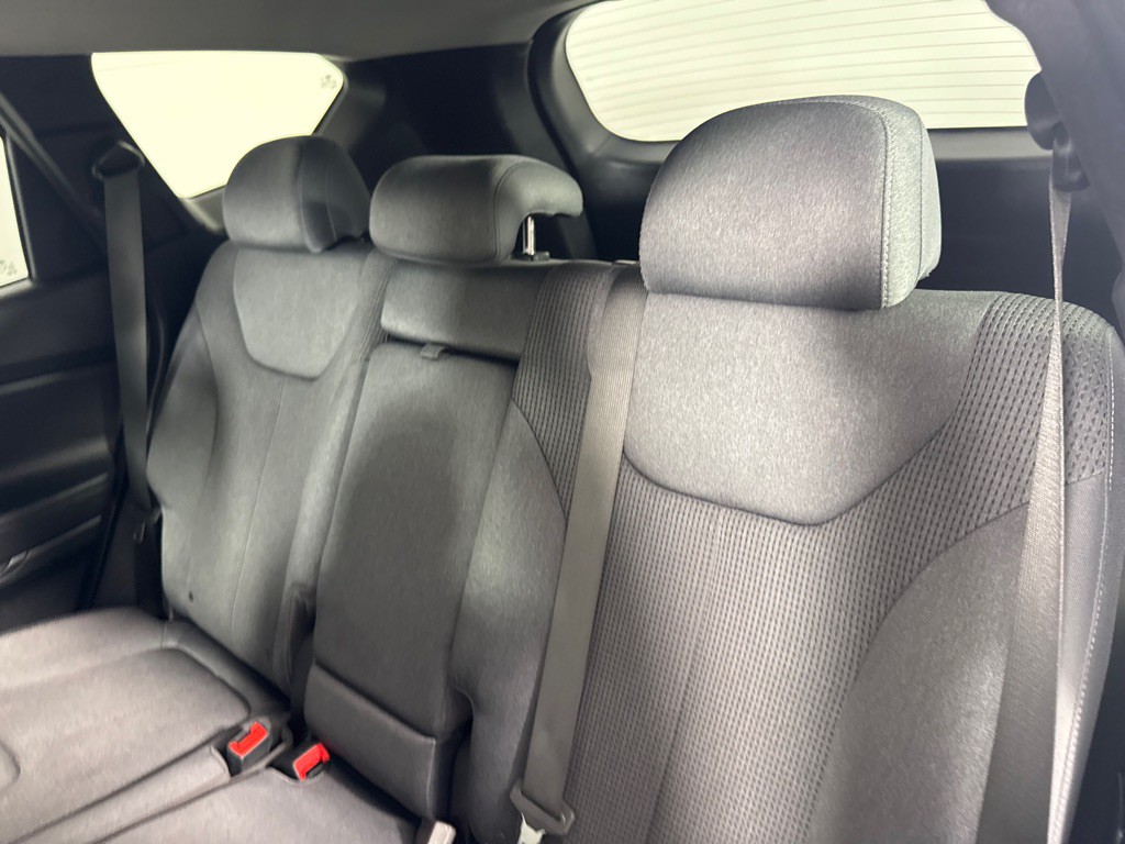 2019 Hyundai Santa Fe Image 20