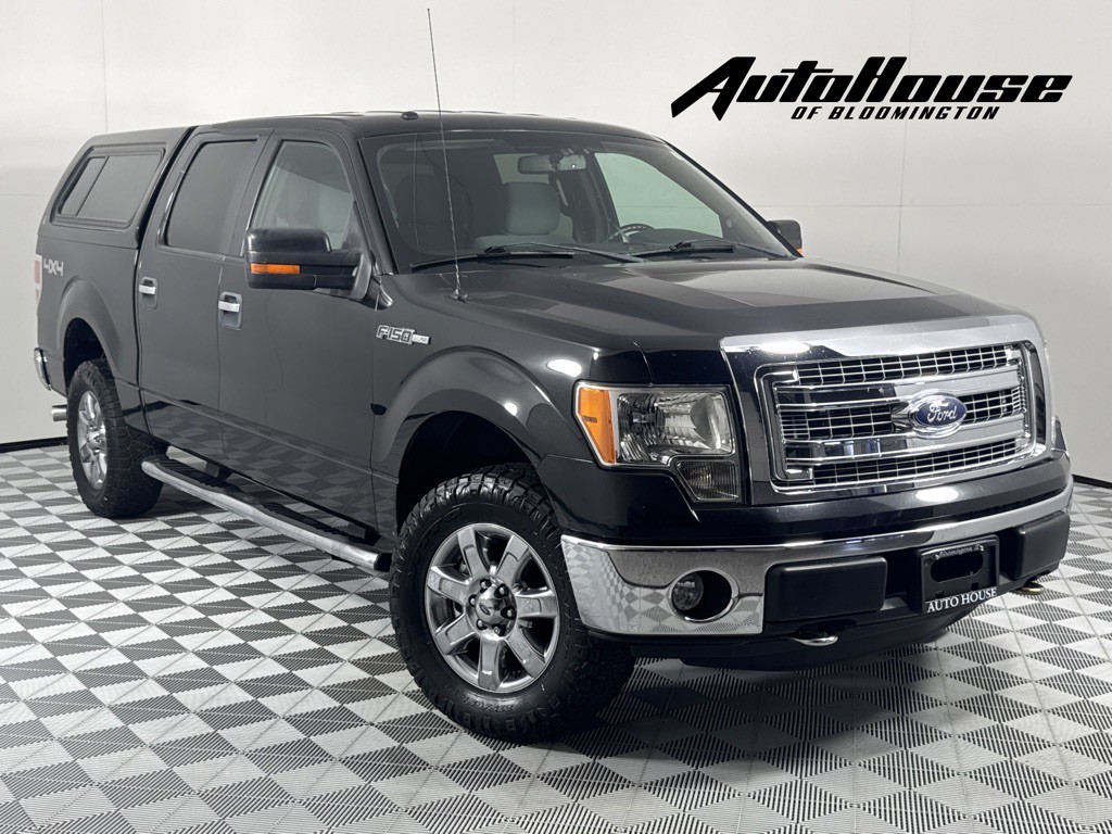 2013 Ford F-150 Image 1