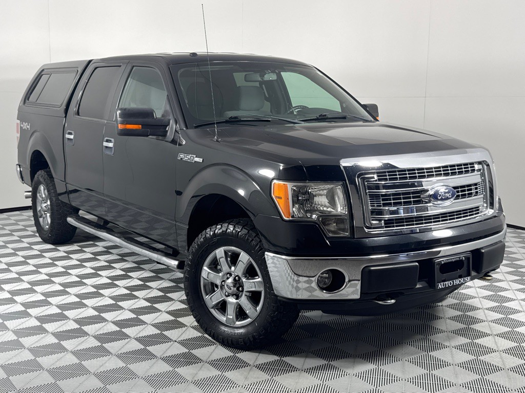 2013 Ford F-150 Image 2