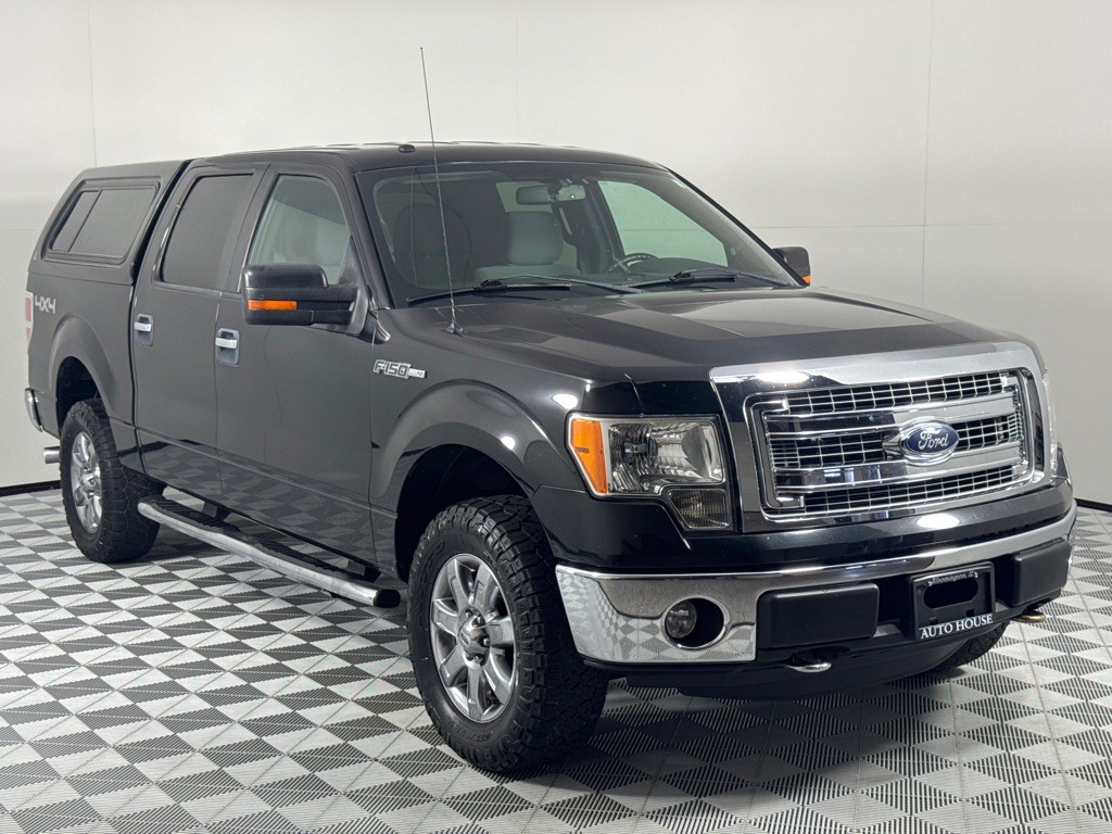 2013 Ford F-150 Image 3
