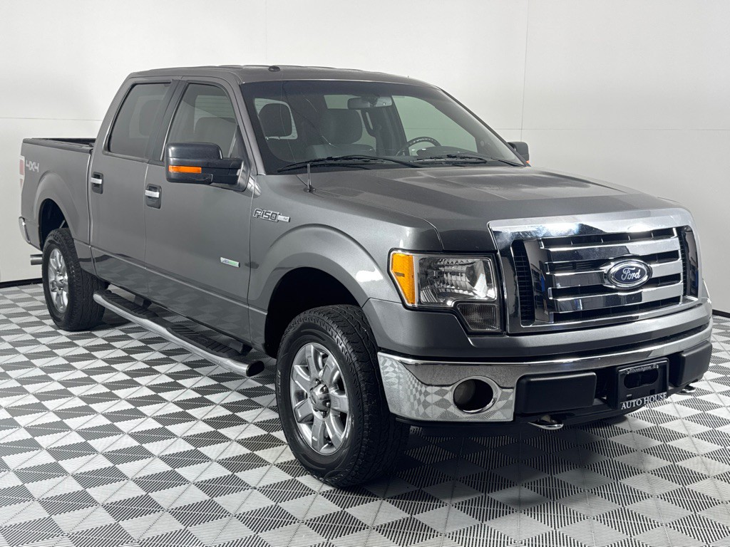 2014 Ford F-150 Image 3