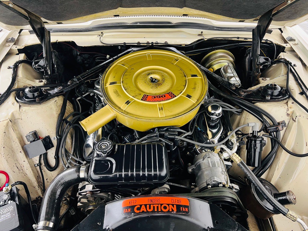 1965 Ford Thunderbird Image 33