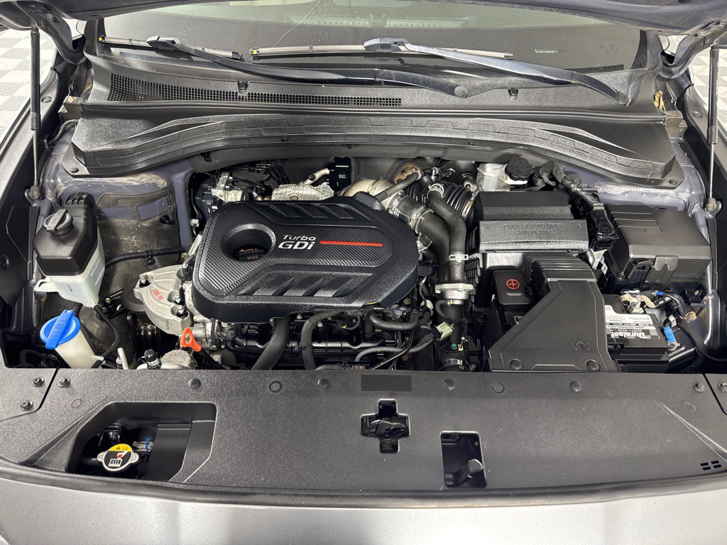 2019 Hyundai Santa Fe Image 31