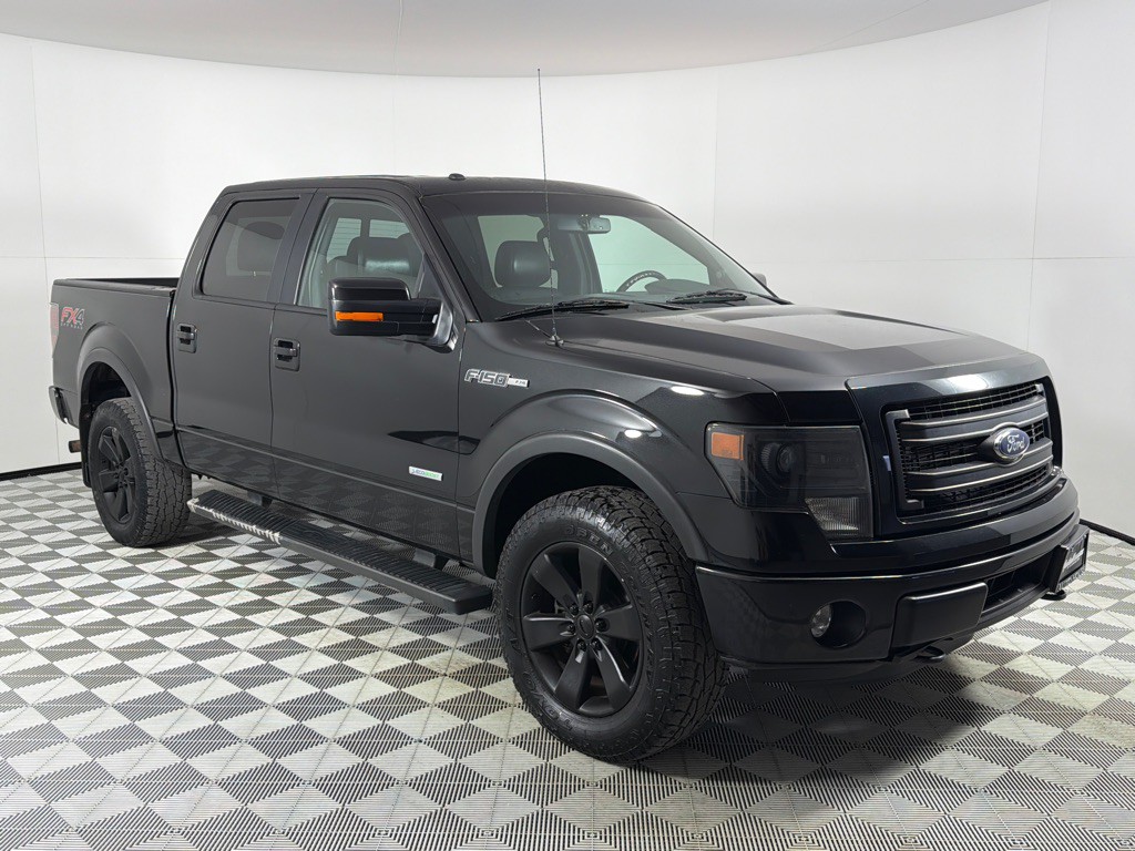 2014 Ford F-150 Image 3
