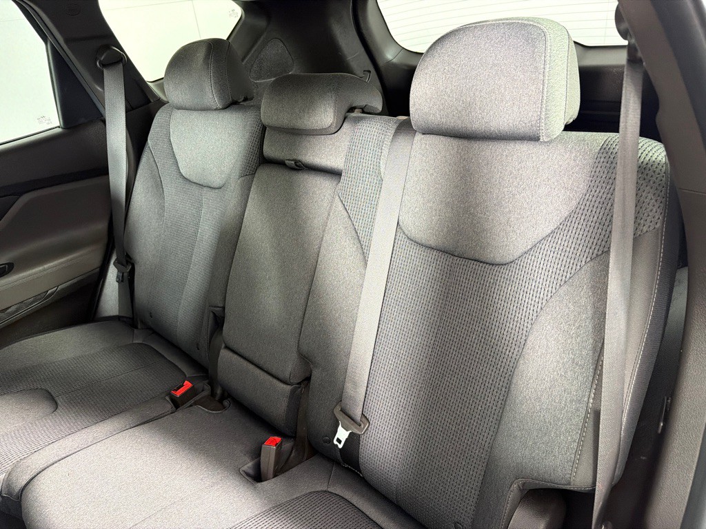 2019 Hyundai Santa Fe Image 19