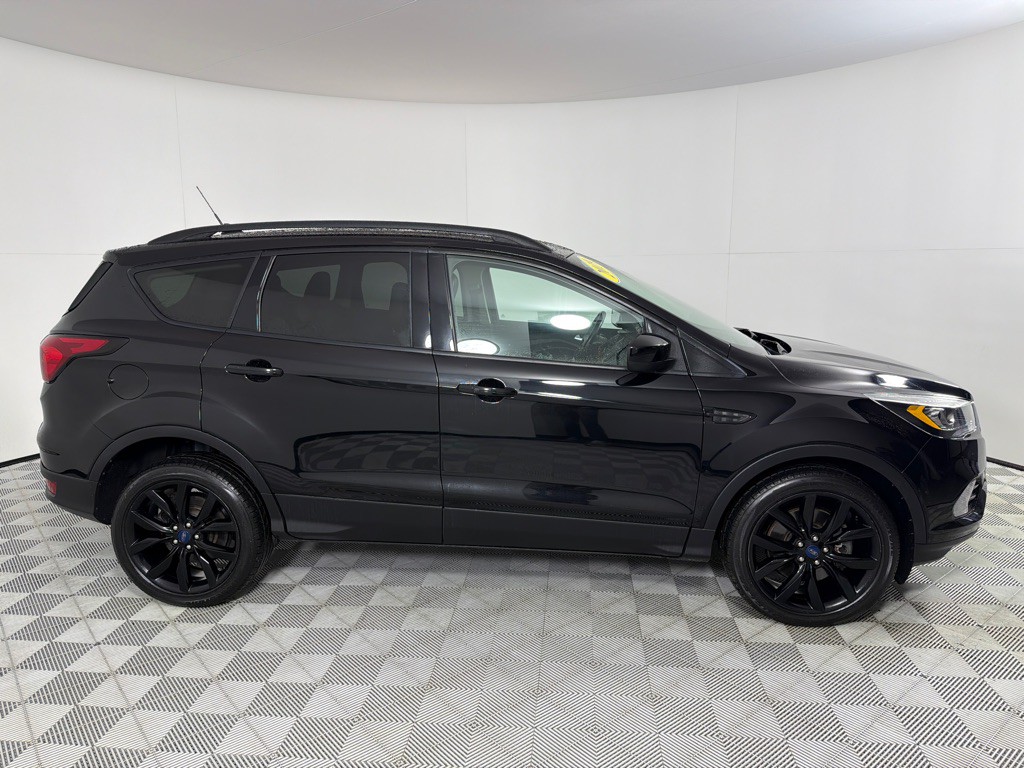 2019 Ford Escape Image 4