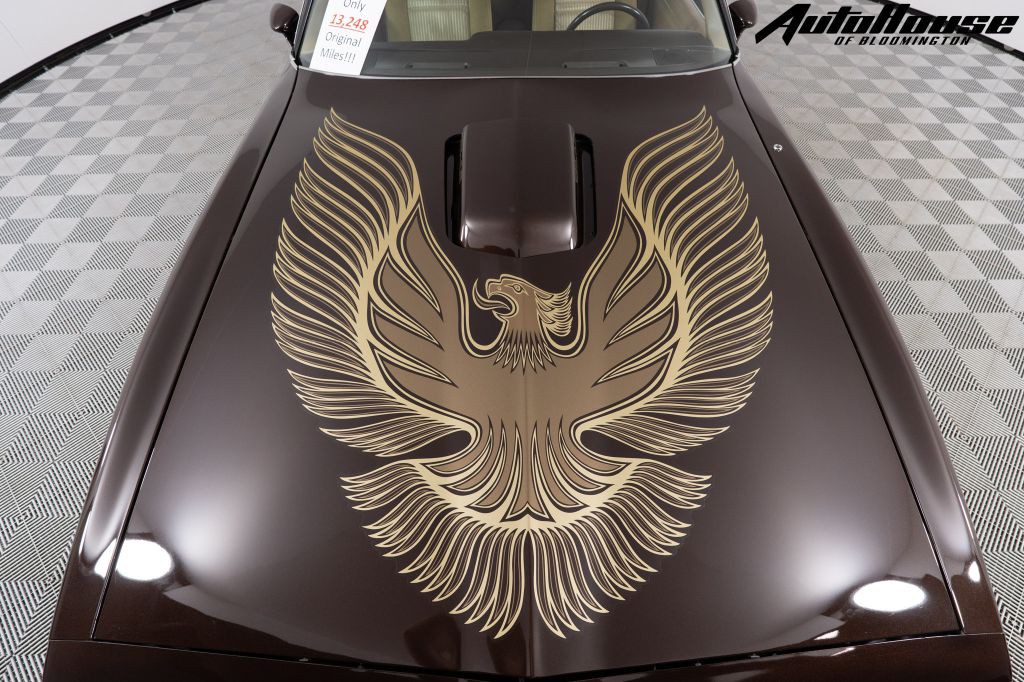 1981 Pontiac Firebird Image 10