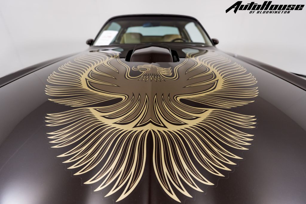 1981 Pontiac Firebird Image 11