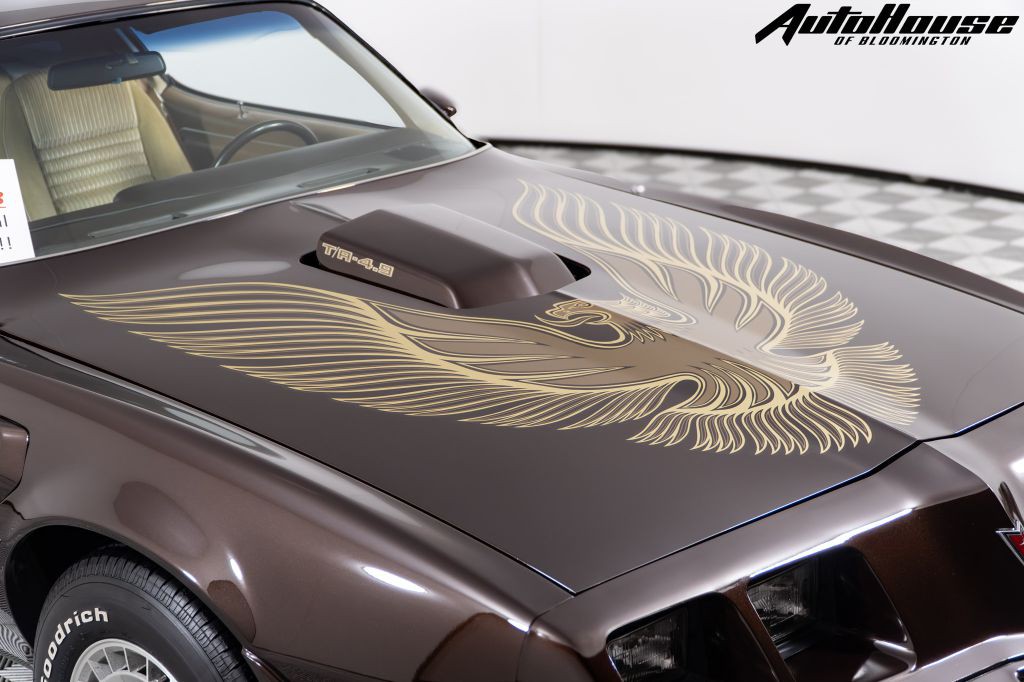 1981 Pontiac Firebird Image 12