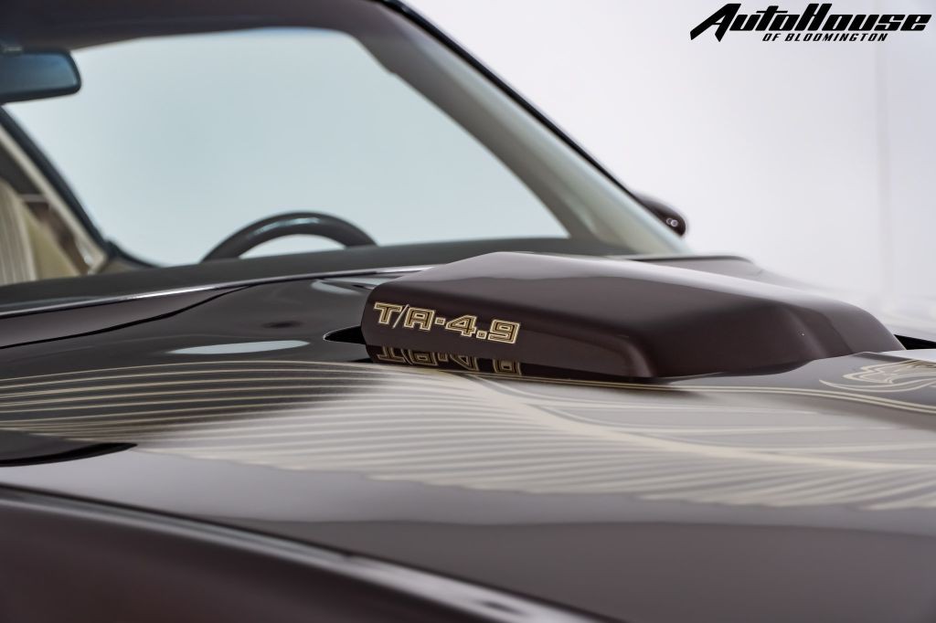 1981 Pontiac Firebird Image 13