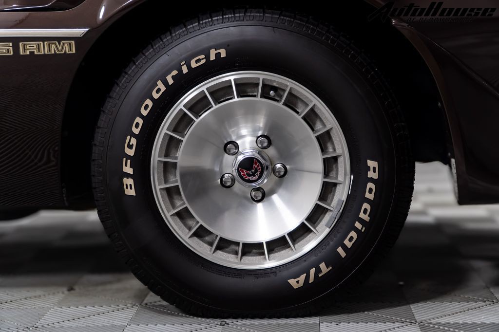 1981 Pontiac Firebird Image 16