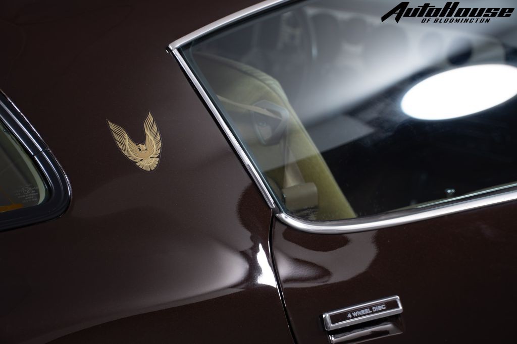 1981 Pontiac Firebird Image 19