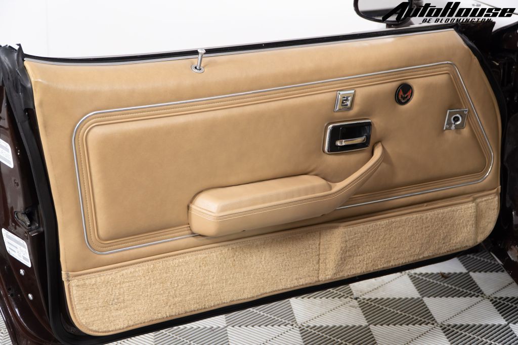 1981 Pontiac Firebird Image 51