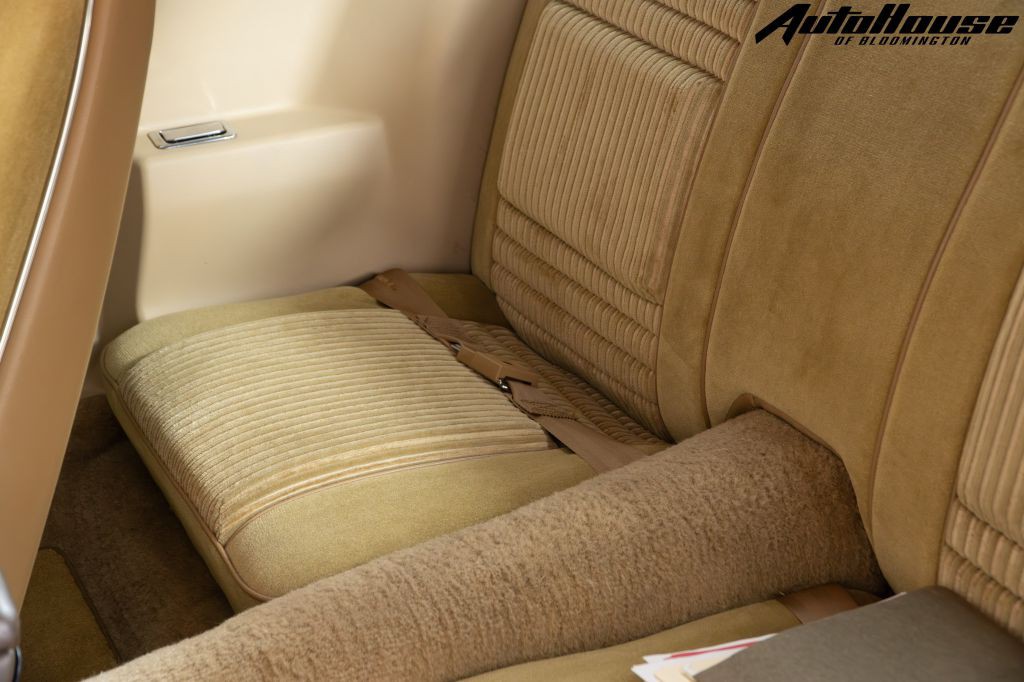 1981 Pontiac Firebird Image 57