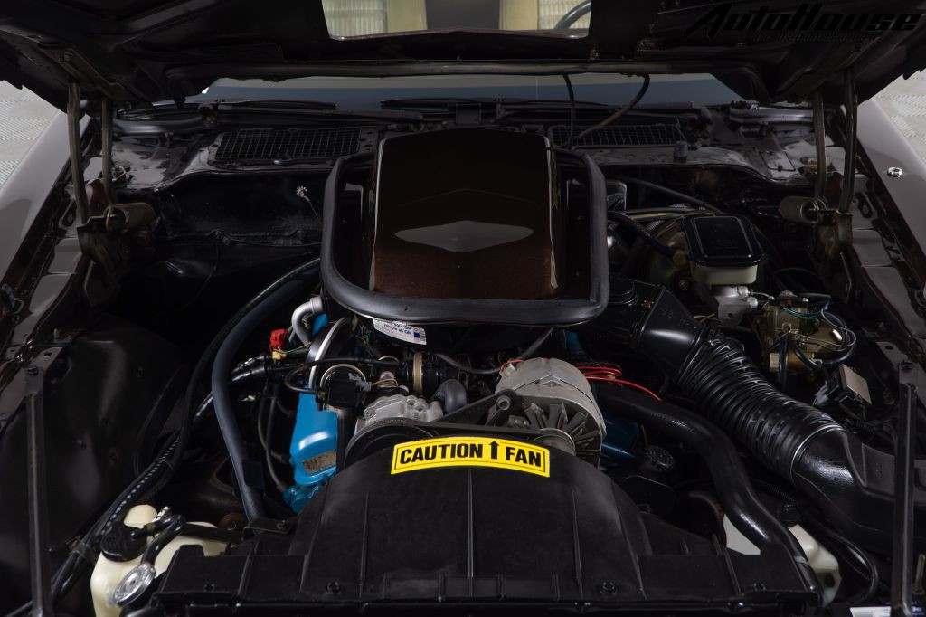 1981 Pontiac Firebird Image 73