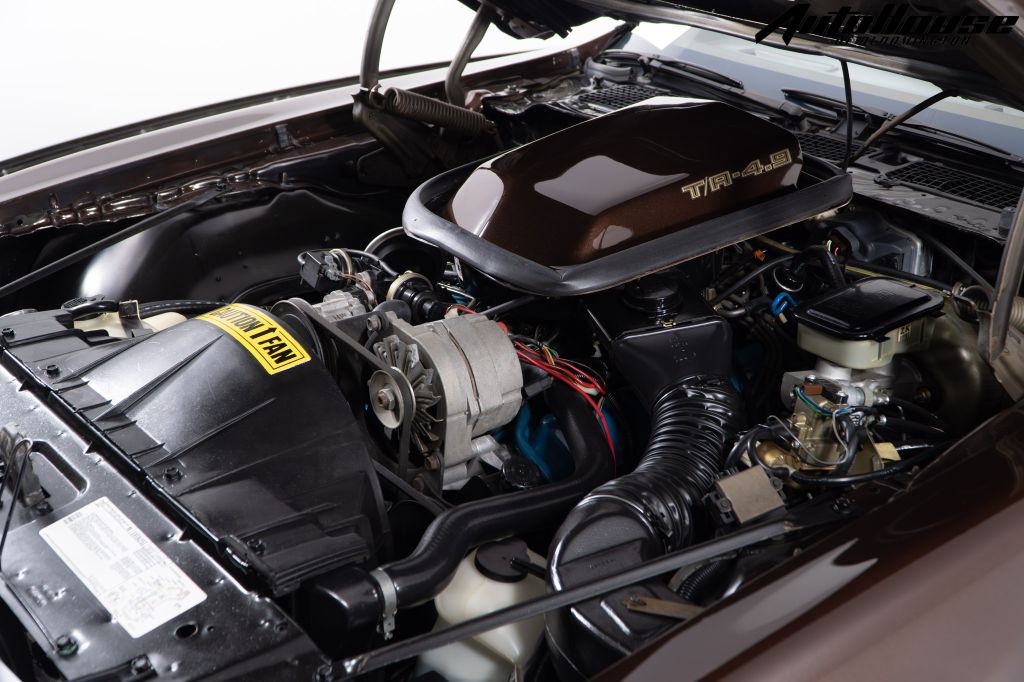 1981 Pontiac Firebird Image 74