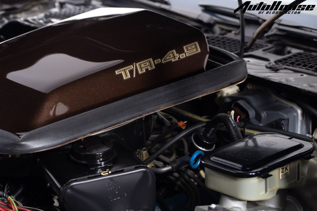 1981 Pontiac Firebird Image 75