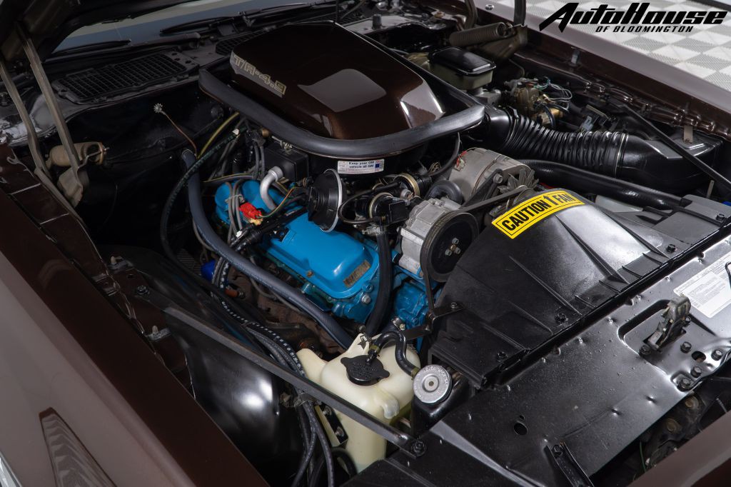 1981 Pontiac Firebird Image 77