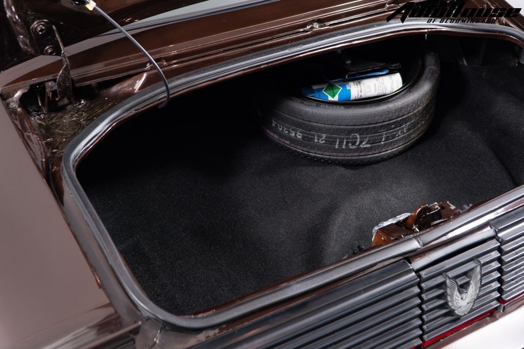 1981 Pontiac Firebird Image 79