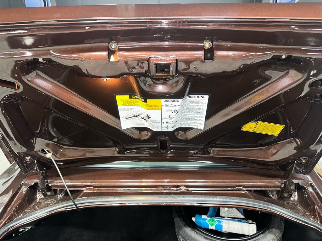 1981 Pontiac Firebird Image 90