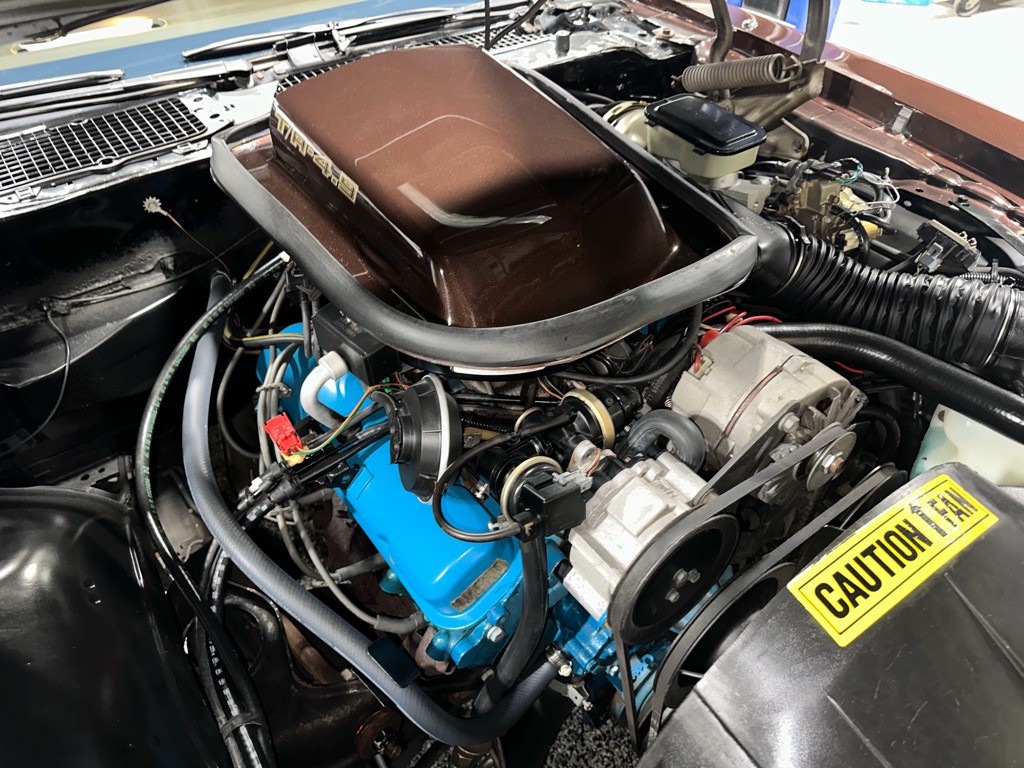 1981 Pontiac Firebird Image 91