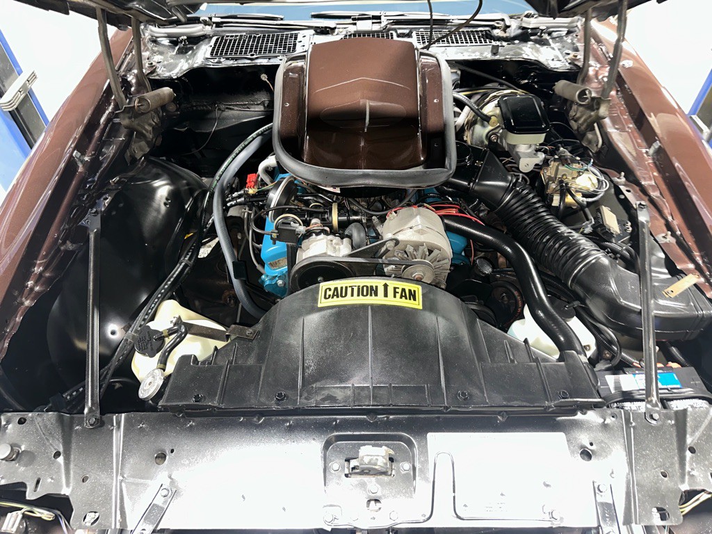 1981 Pontiac Firebird Image 93